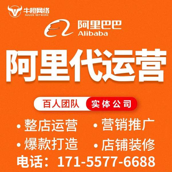 仙桃电商代运营