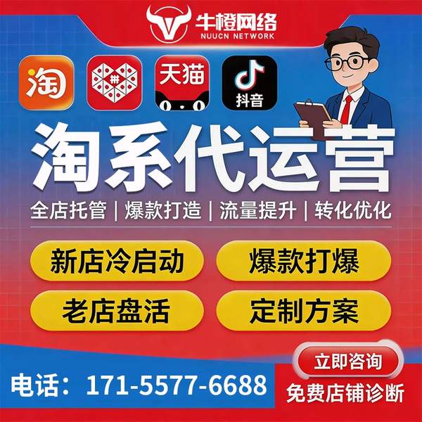 仙桃电商代运营