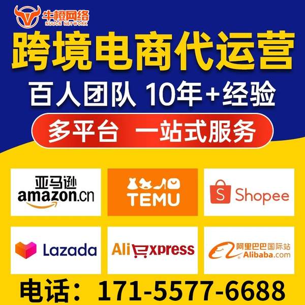 仙桃电商代运营