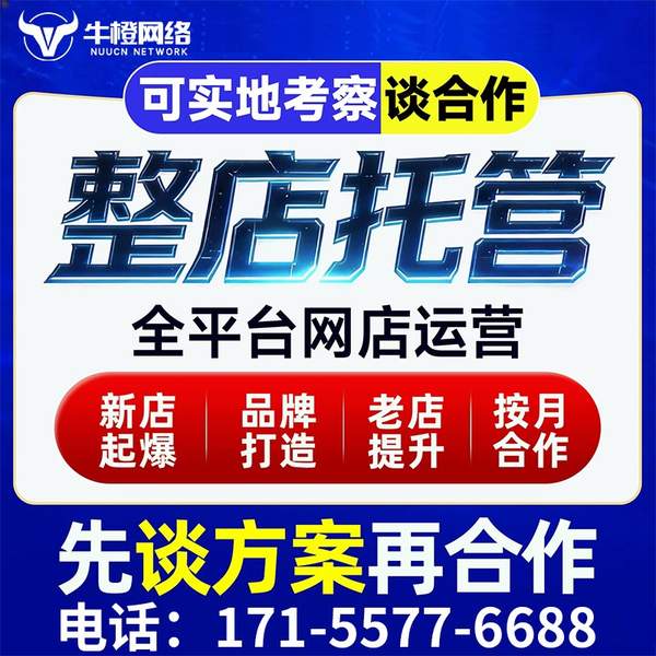 仙桃电商代运营