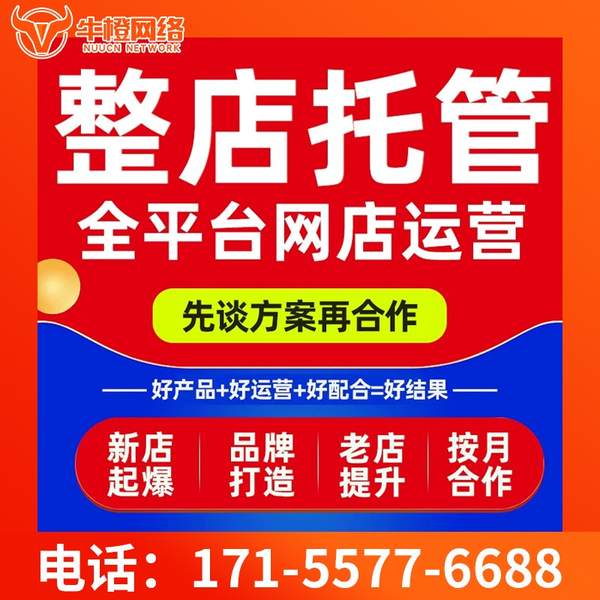 仙桃电商代运营