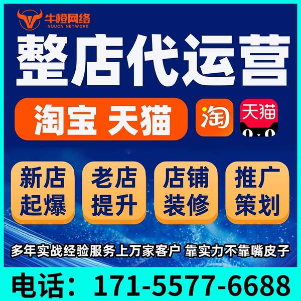 仙桃电商代运营