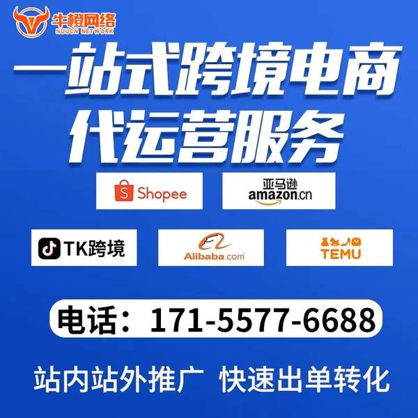 仙桃电商代运营