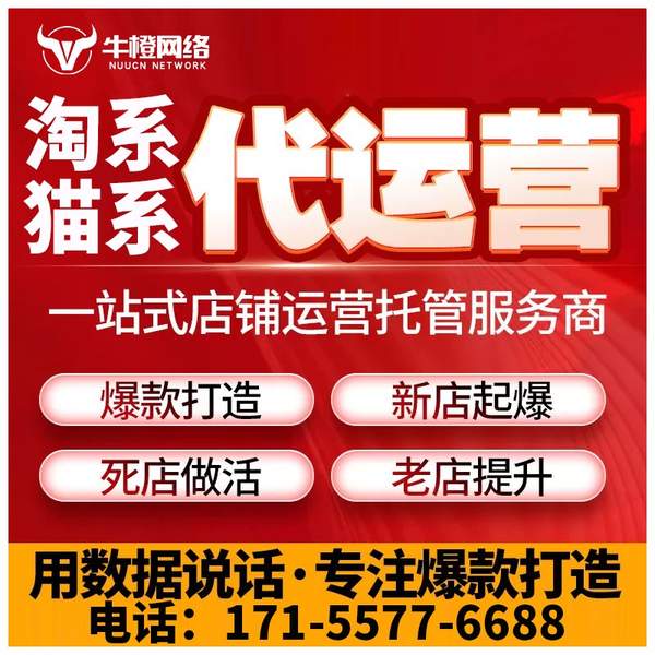 仙桃电商代运营